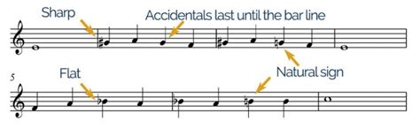 What is an Accidental in Music? And Why Do They Sometimes Feel Like Uninvited Guests at a Party?